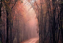 叶柯被爆为黄晓明产女2亮8回复.