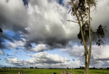 歐冠名宿預測：曼城和拜仁成為熱門、皇馬面臨淘汰風險！.