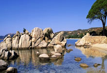 歐冠名宿預測：曼城和拜仁成為熱門、皇馬面臨淘汰風險！.